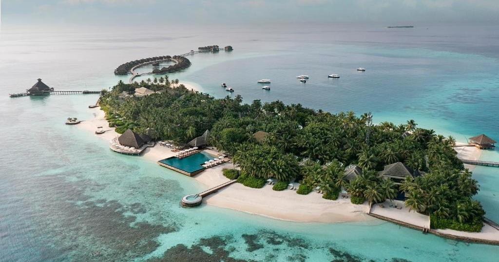 Thasleem hoadhumah takai interpoll yellow notice nerenee