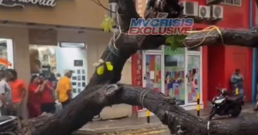 Maaveyo maguga huri bodu gaheh vettijje