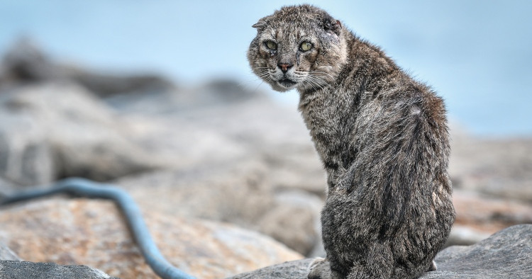 Bulhaa facility ah doctor akaari naruhun hoadhanfashaifi