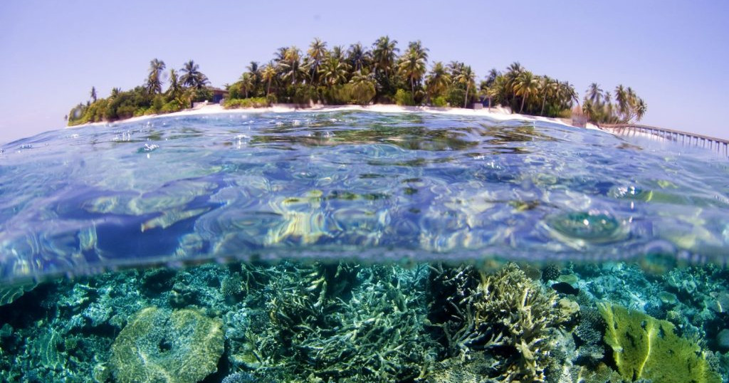 Dhoanyehge burafatheegai jehi Singapore kuhjjaku maruvejje