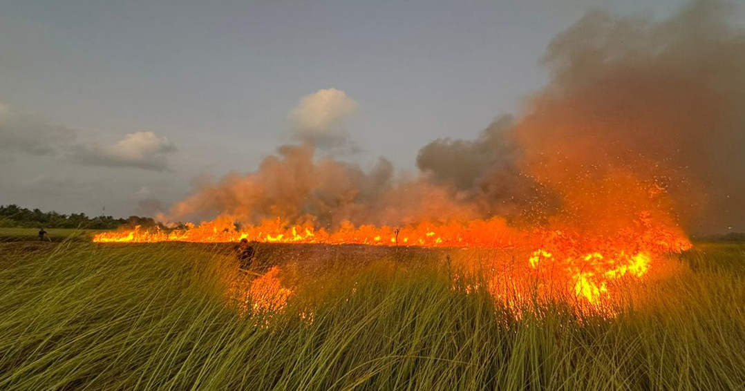 Addu city hulhudhoo chasbimugai roavi alifaangandu nivaalaifi